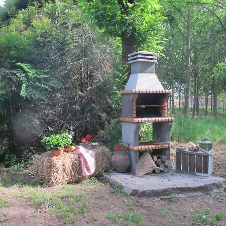 No Meio Da Natureza - Turismo No Espaco Rural Vila Nova de Famalicão Eksteriør billede
