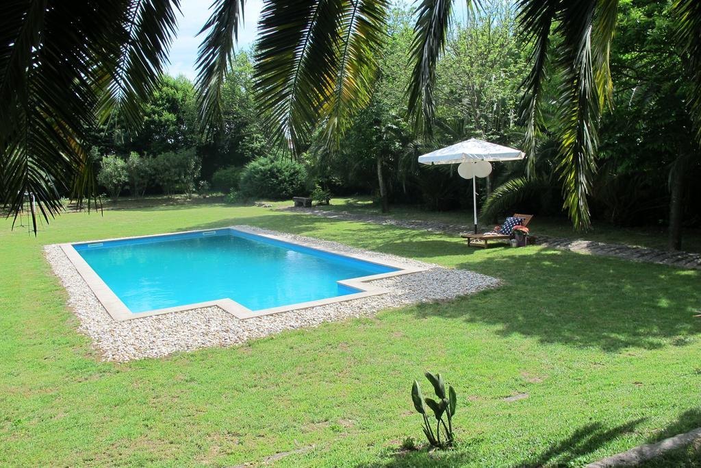 No Meio Da Natureza - Turismo No Espaco Rural Vila Nova de Famalicão Eksteriør billede