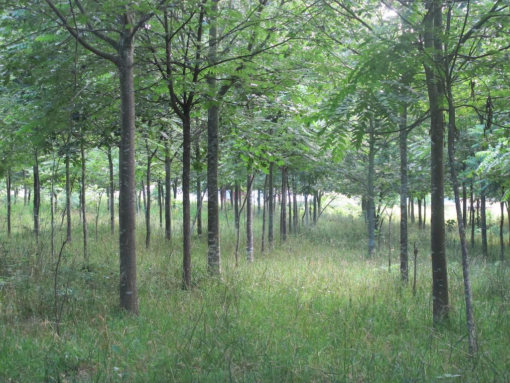 No Meio Da Natureza - Turismo No Espaco Rural Vila Nova de Famalicão Eksteriør billede